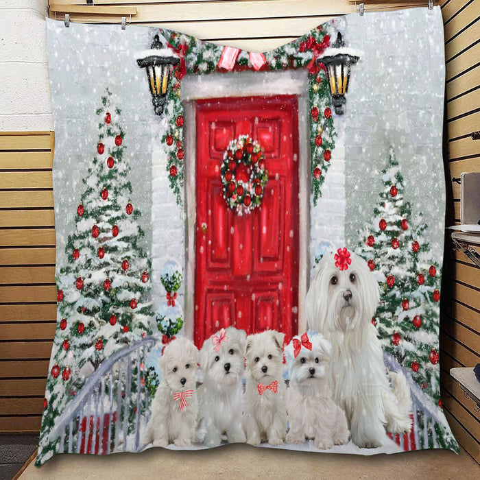 Christmas Holiday Welcome Maltese Dogs  Quilt Bed Coverlet Bedspread - Pets Comforter Unique One-side Animal Printing - Soft Lightweight Durable Washable Polyester Quilt