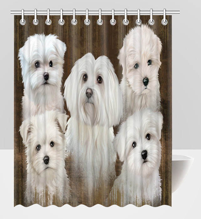 Rustic Maltese Dogs Shower Curtain