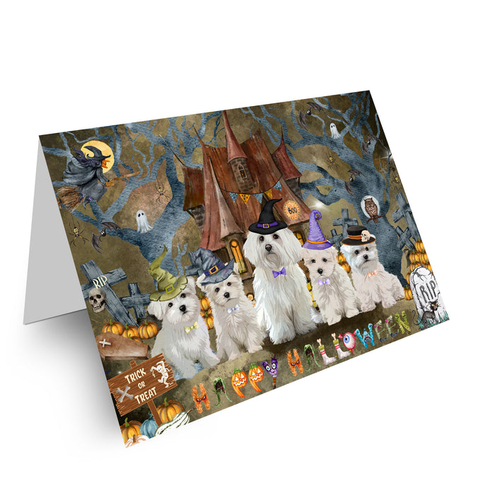 Maltese Greeting Cards & Note Cards: Explore a Variety of Designs, Custom, Personalized, Halloween Invitation Card with Envelopes, Gifts for Dog Lovers