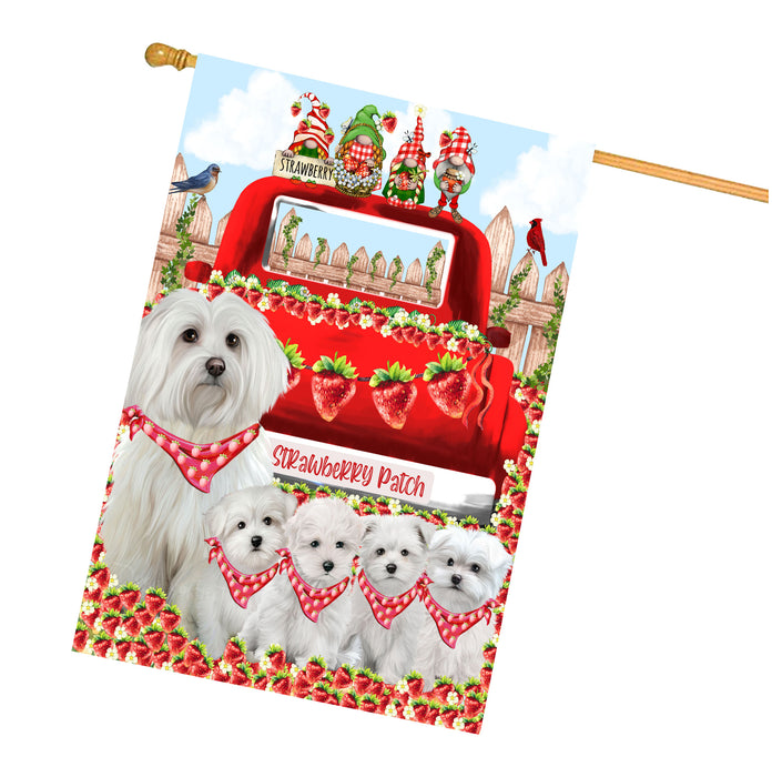 Maltese Dogs House Flag: Explore a Variety of Custom Designs, Double-Sided, Personalized, Weather Resistant, Home Outside Yard Decor, Dog Gift for Pet Lovers