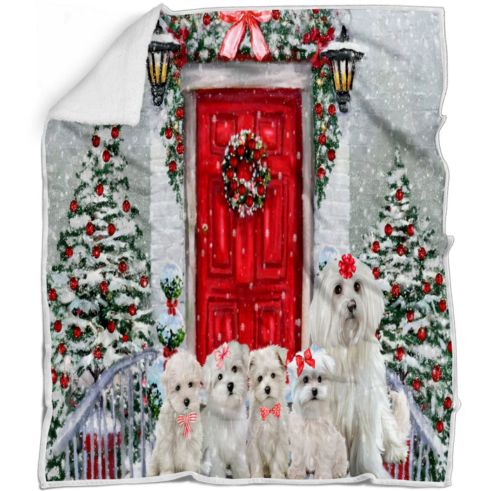 Christmas Holiday Welcome Maltese Dogs Blanket - Lightweight Soft Cozy and Durable Bed Blanket - Animal Theme Fuzzy Blanket for Sofa Couch