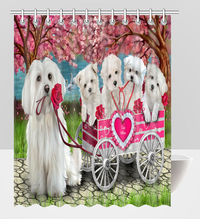 I Love Maltese Dogs in a Cart Shower Curtain