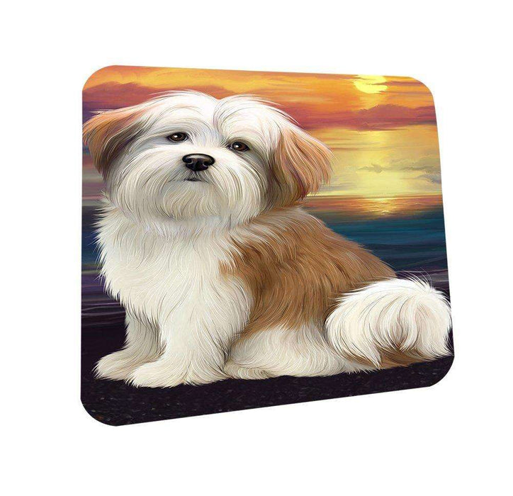 Malti Tzu Dog Coasters Set of 4 CST48464