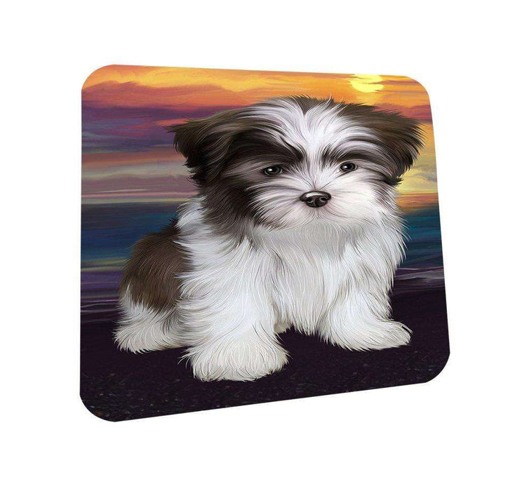 Malti Tzu Dog Coasters Set of 4 CST48465