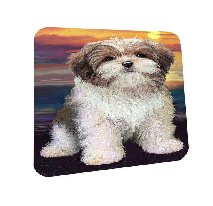 Malti Tzu Dog Coasters Set of 4 CST48466