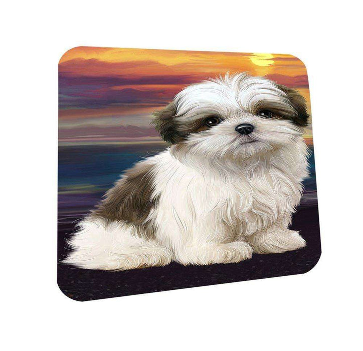 Malti Tzu Dog Coasters Set of 4 CST48467