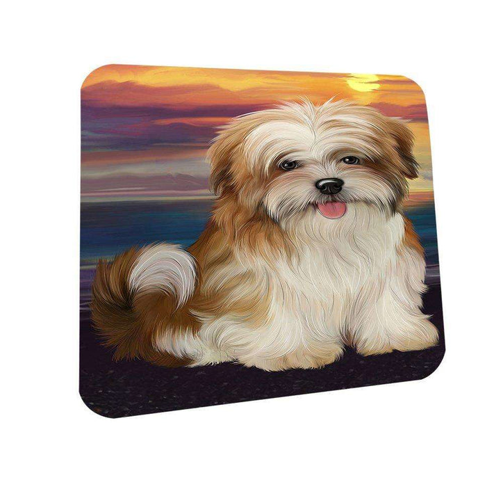 Malti Tzu Dog Coasters Set of 4 CST48468