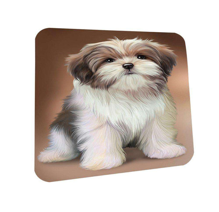 Malti Tzu Dog Coasters Set of 4 CST48469