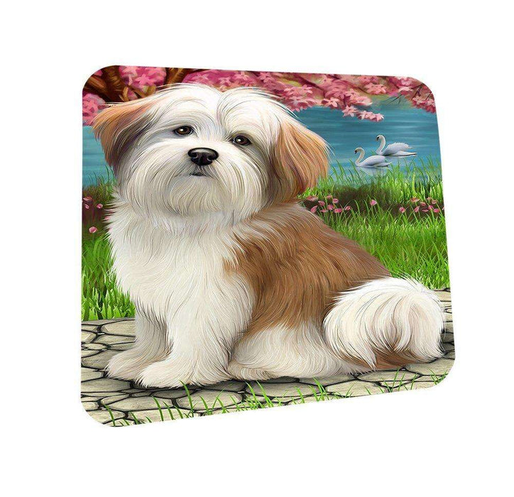 Malti Tzu Dog Coasters Set of 4 CST48470