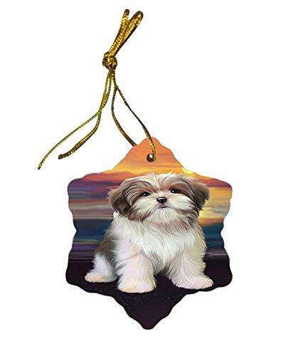 Malti Tzu Dog Star Porcelain Ornament SPOR48441