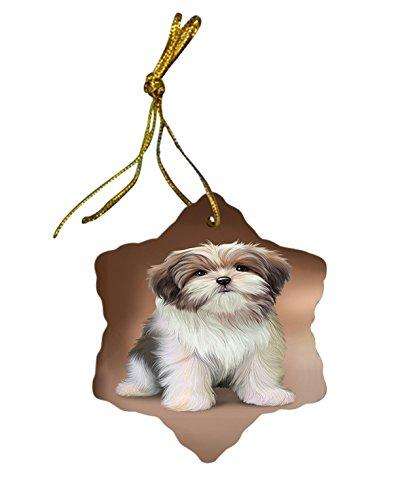 Malti Tzu Dog Star Porcelain Ornament SPOR48444