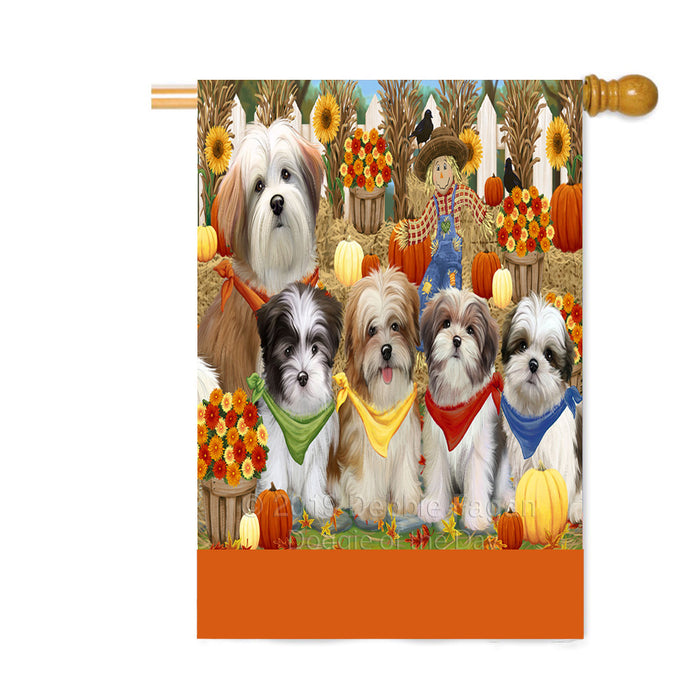 Personalized Fall Festive Gathering Malti Tzu Dogs with Pumpkins Custom House Flag FLG-DOTD-A62032