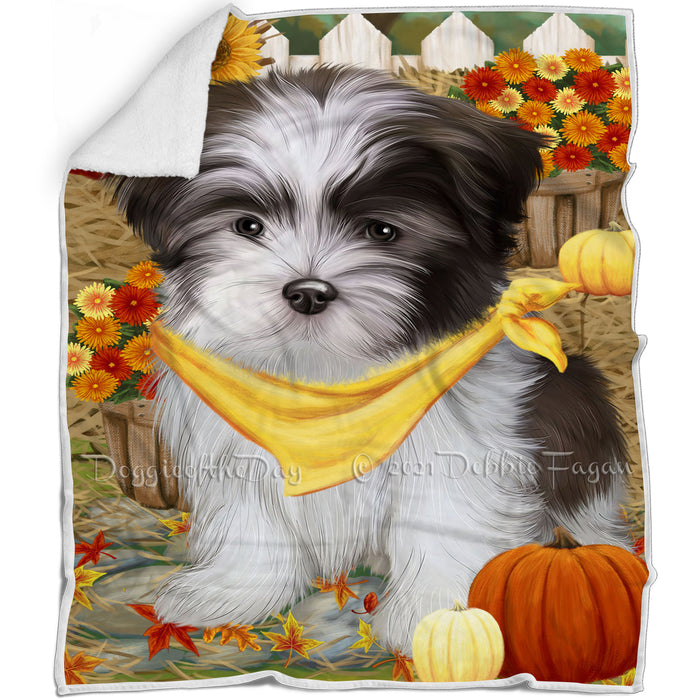 Fall Autumn Greeting Malti Tzu Dog with Pumpkins Blanket BLNKT73119