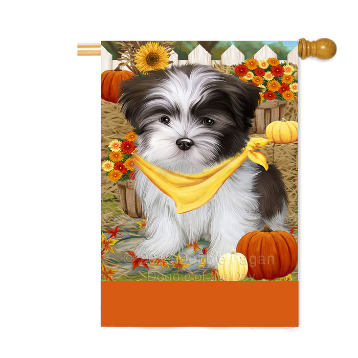 Personalized Fall Autumn Greeting Malti Tzu Dog with Pumpkins Custom House Flag FLG-DOTD-A62034