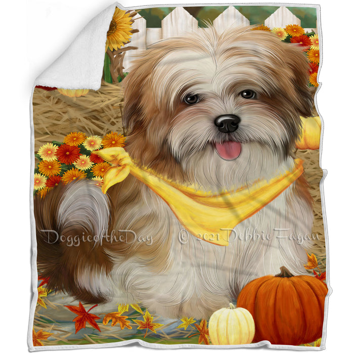 Fall Autumn Greeting Malti Tzu Dog with Pumpkins Blanket BLNKT73128