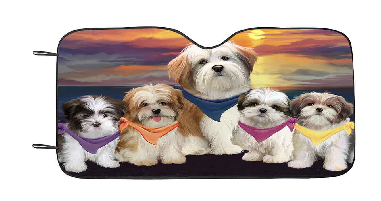 Family Sunset Portrait Malti Tzu Dogs Car Sun Shade