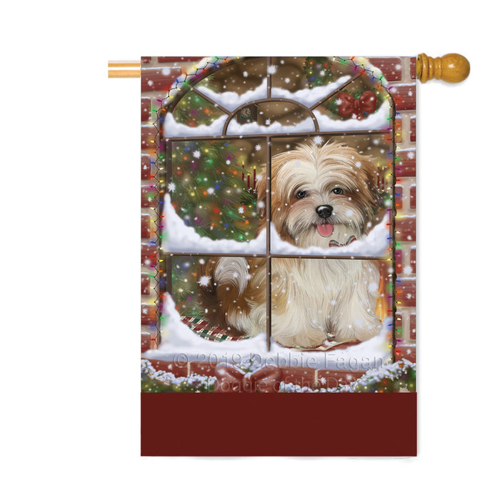 Personalized Please Come Home For Christmas Malti Tzu Dog Sitting In Window Custom House Flag FLG-DOTD-A60239