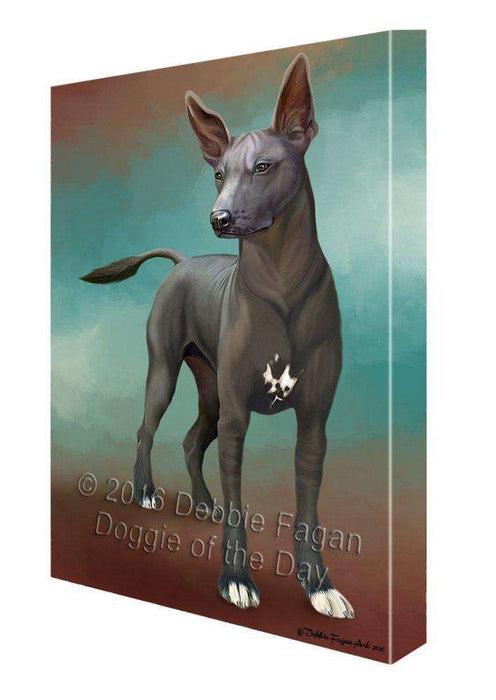 Mexican Hairless Dog Canvas Wall Art