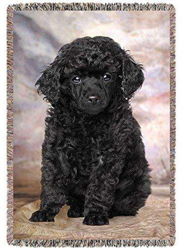 Miniature Poodle Puppy Woven Throw Blanket 54 x 38