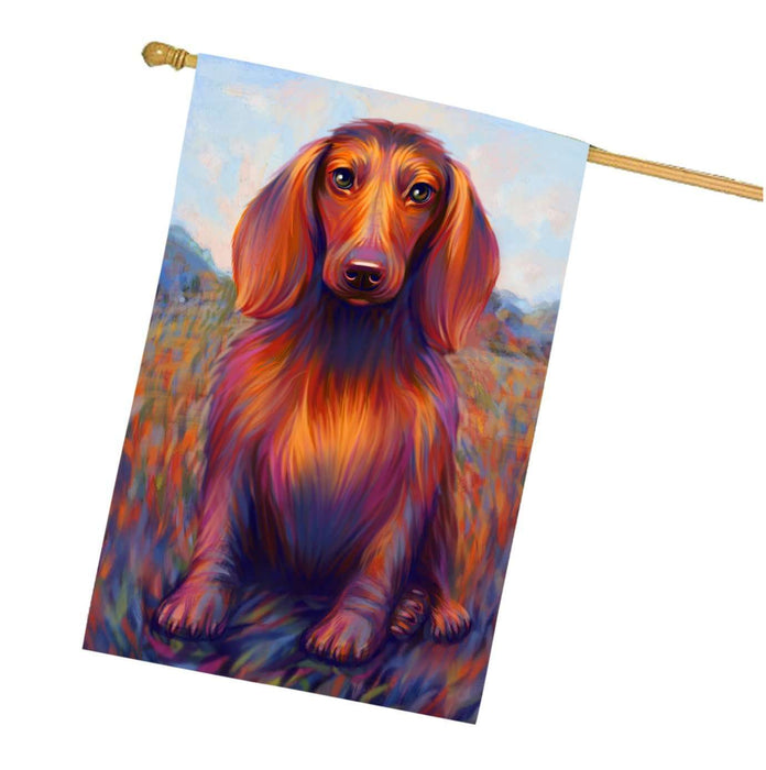 Mystic Blaze Dachshund Dog House Flag FLG48146