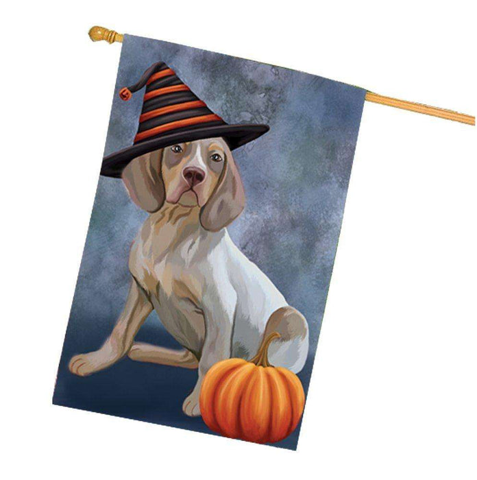 Navarro Dog Wearing Witch Hat with Pumpkin House Flag