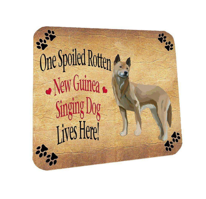 New Guinea Singing Spoiled Rotten Dog Coasters Set of 4
