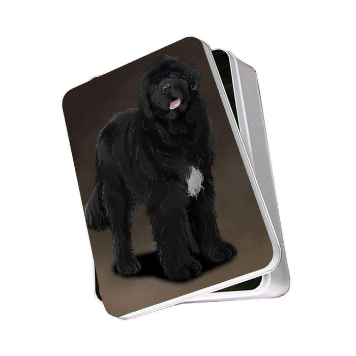 Newfoundland Black Dog Photo Storage Tin