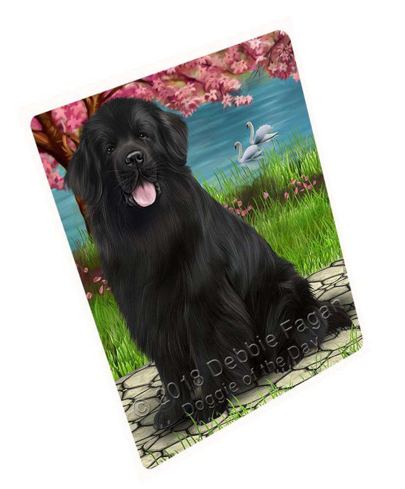 Newfoundland Dog Magnet Mini (3.5" x 2") MAG62703