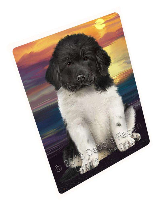 Newfoundland Dog Magnet Mini (3.5" x 2") MAG62829
