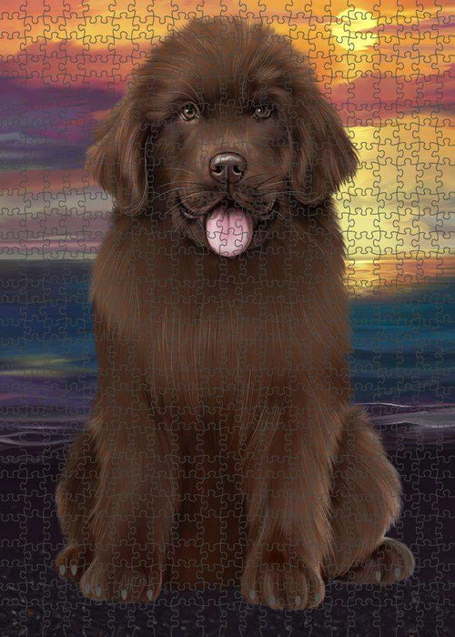 Newfoundland Dog Puzzle with Photo Tin PUZL62750