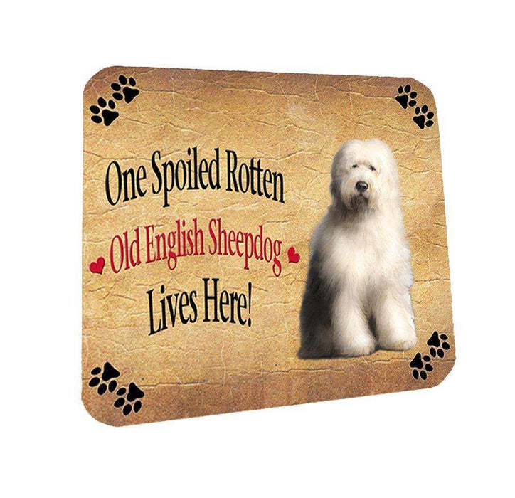 Old English Sheepdog Spoiled Rotten Dog Coasters Set of 4