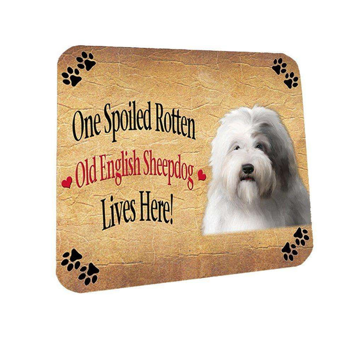 Old English Sheepdog Spoiled Rotten Dog Coasters Set of 4