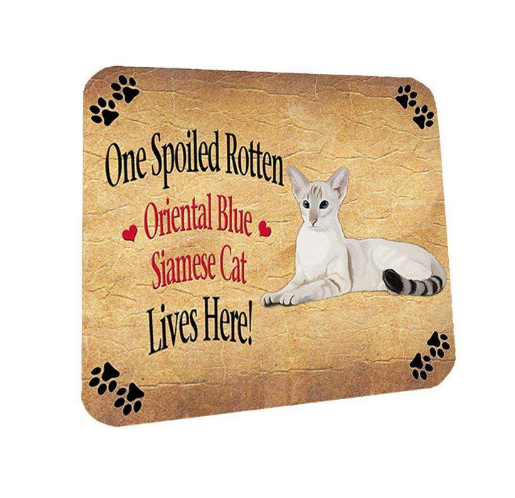 Oriental Blue Point Siamese Spoiled Rotten Cat Coasters Set of 4