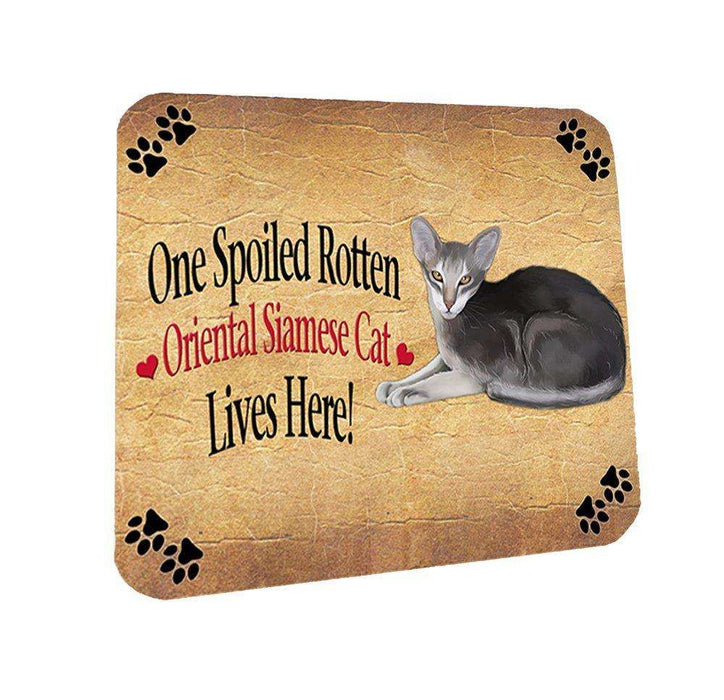 Oriental Siamese Spoiled Rotten Cat Coasters Set of 4