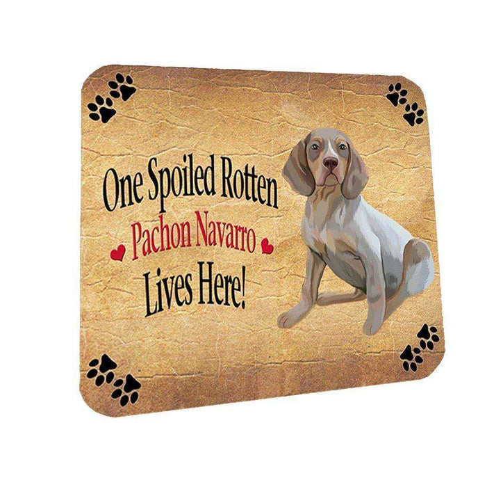 Pachon Navarro Spoiled Rotten Dog Coasters Set of 4