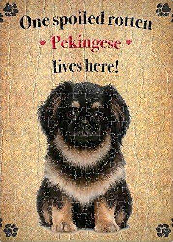 Pekingese Spoiled Rotten Dog Puzzle with Photo Tin