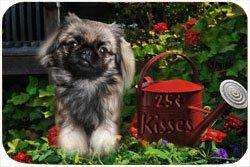 Pekingese Tempered Cutting Board 25 Cent Kisses
