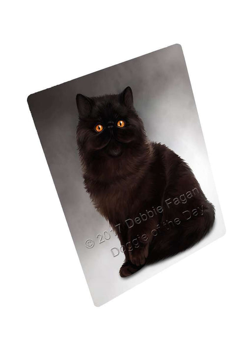 Persian Cat Art Portrait Print Woven Throw Sherpa Plush Fleece Blanket D038