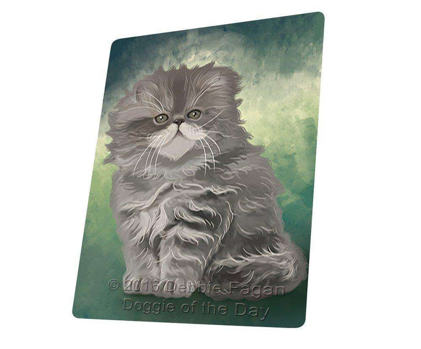 Persian Cat Blanket BLNKT48090