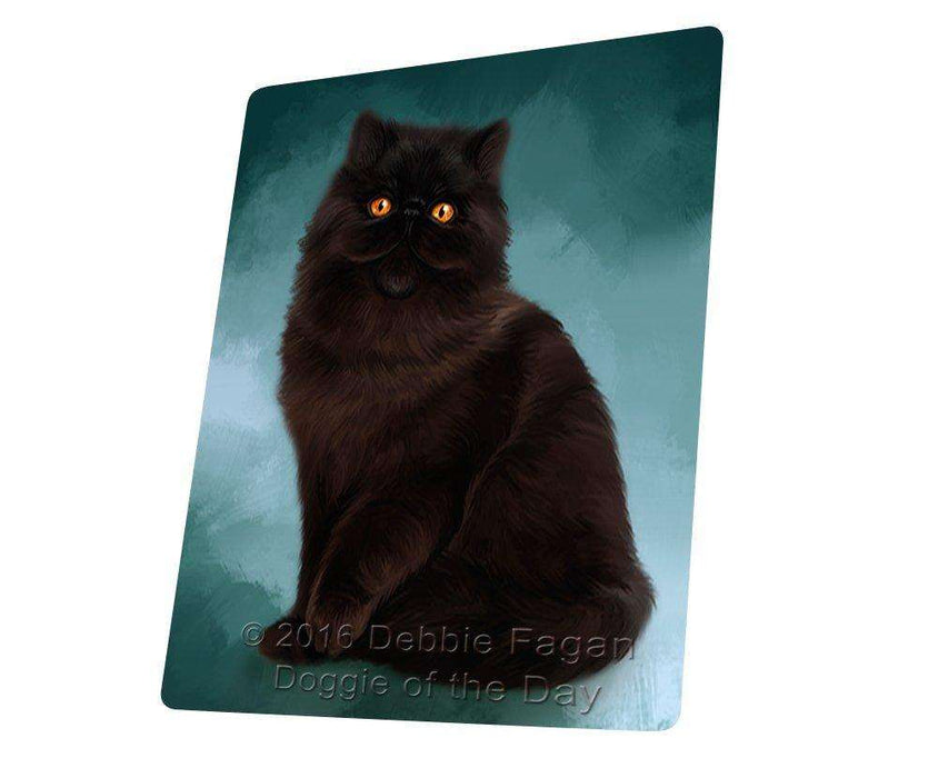 Persian Cat Blanket BLNKT48162