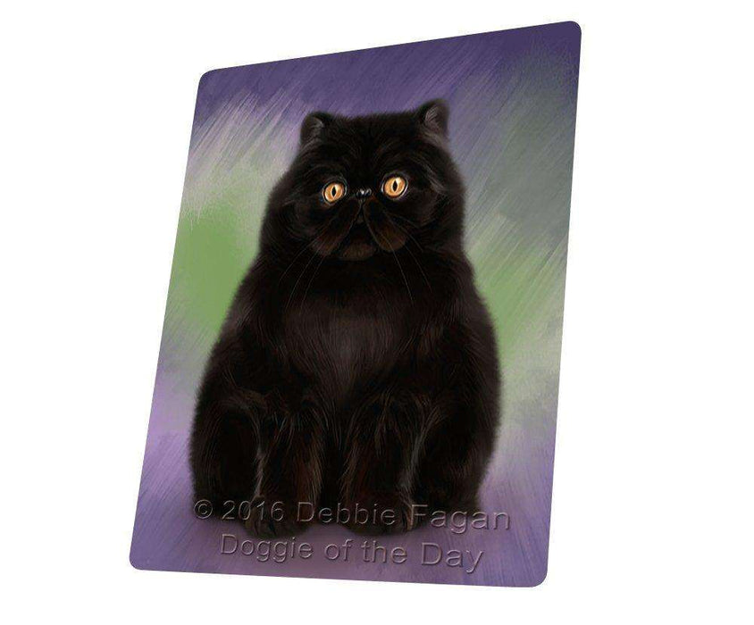 Persian Cat Blanket BLNKT48180