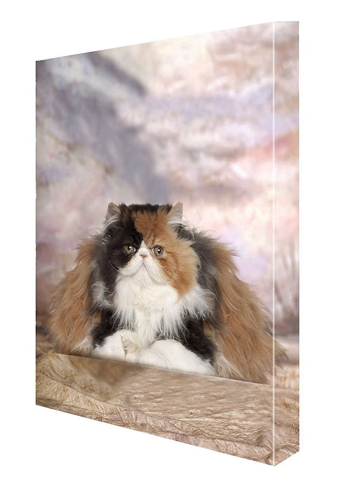 Persian Cat Canvas 18 x 24