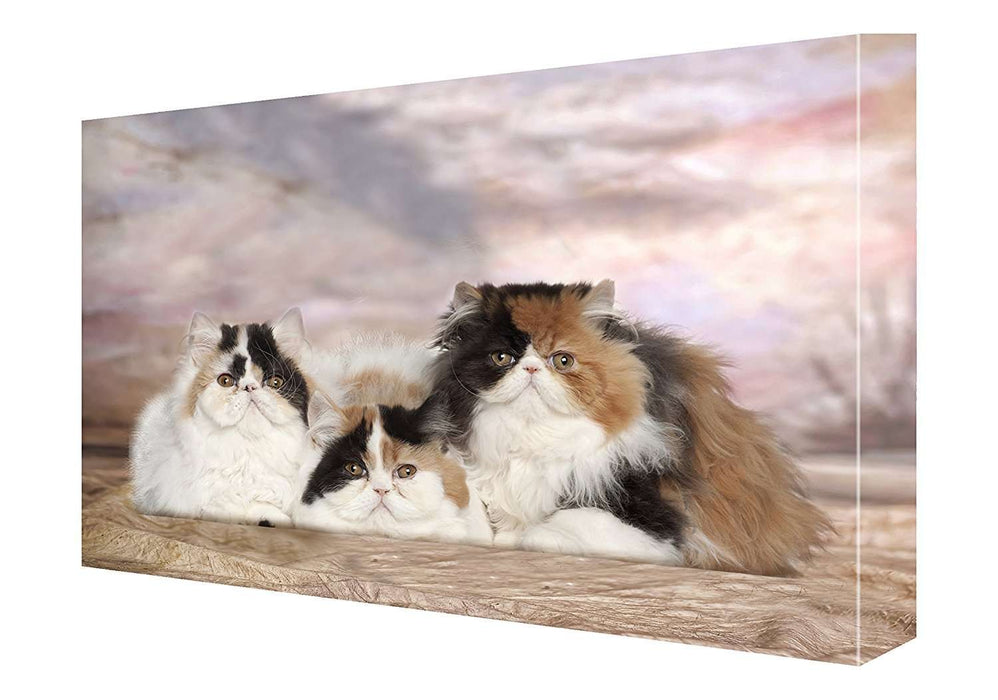 Persian Cat Canvas 18 x 24