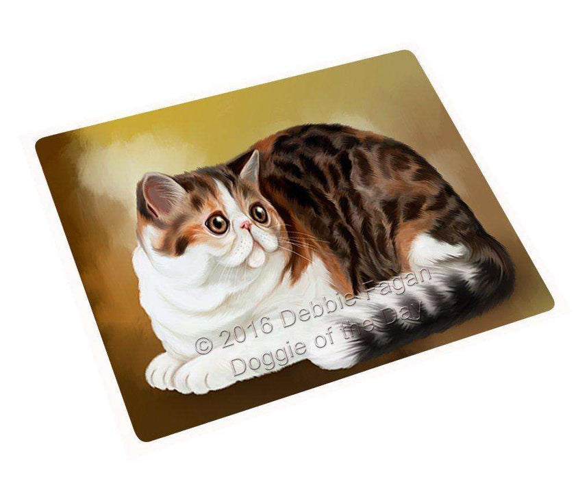 Persian Cat Magnet Mini (3.5" x 2") MAG48039