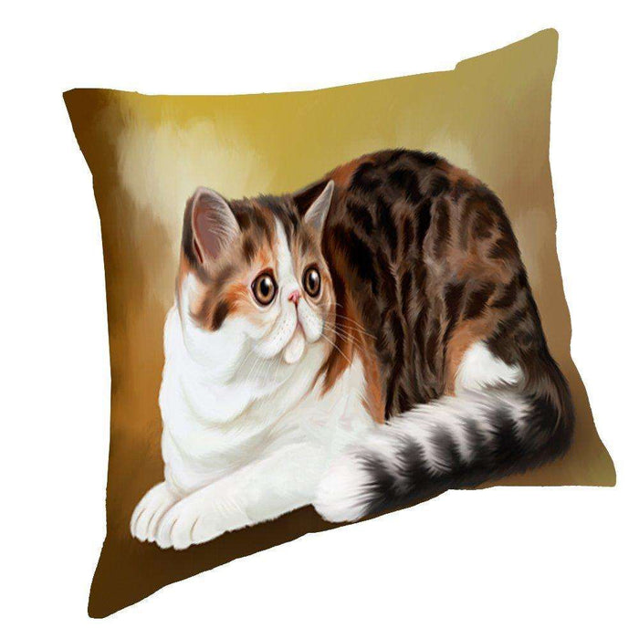 Persian Cat Pillow PIL48084