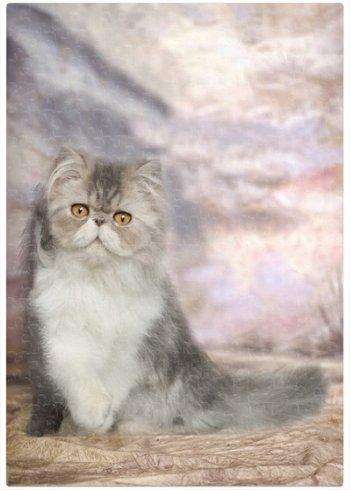 Persian Cat Puzzle 500 Pc. With Photo Tin