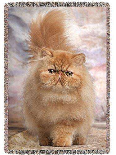 Persian Kitten Woven Throw Blanket 54 x 38