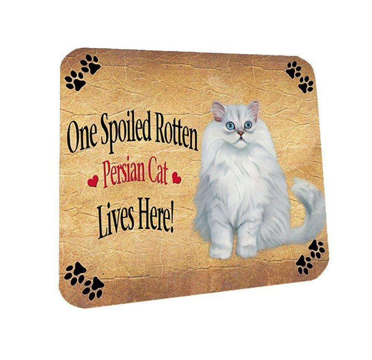 Persian Spoiled Rotten Cat Coasters Set of 4