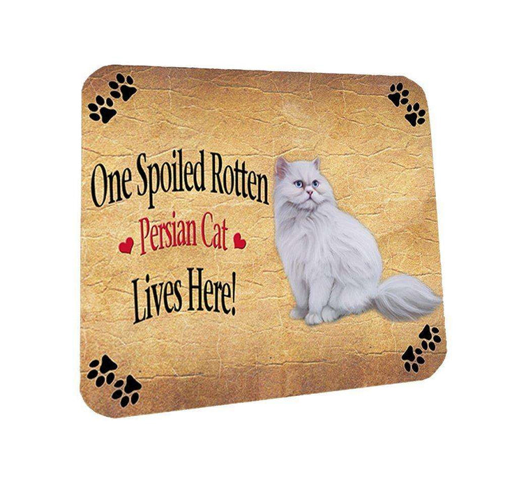 Persian Spoiled Rotten Cat Coasters Set of 4