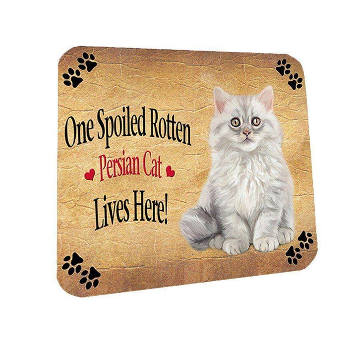 Persian Spoiled Rotten Cat Coasters Set of 4